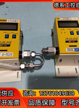 FLOLINE SEF-51气体计 10SLM