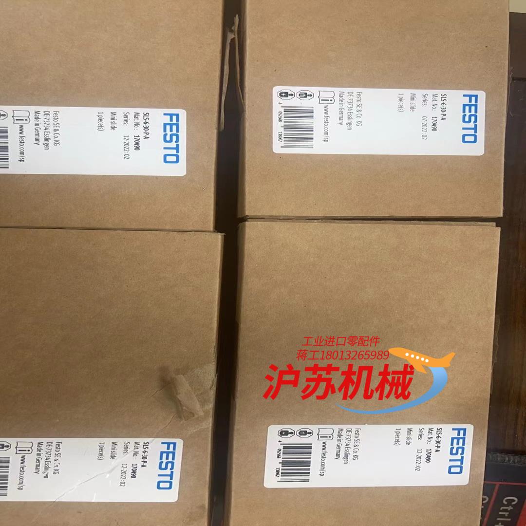 SLS-6-30-P-A 气缸 170490