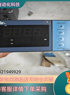 现货东辉仪表DY2000 东辉大延数显仪表