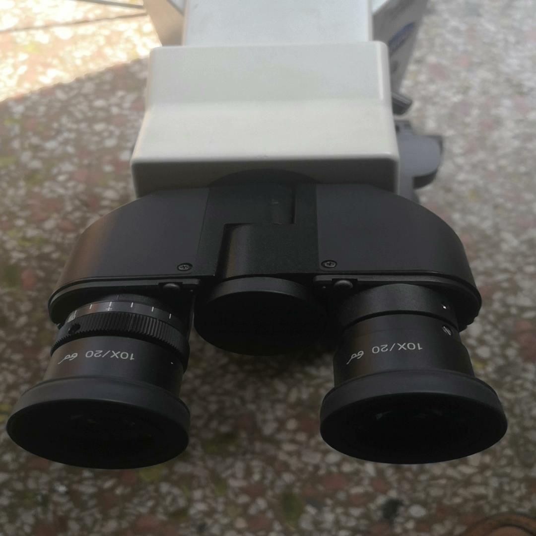 奥林巴斯CX31显微镜