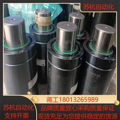 DNA3000-38.1氮气缸弹簧PASCAL氮气缸弹簧