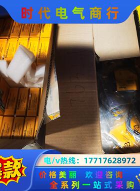 TURCK图尔克 BL20-2AI-I（0/4…20MA）总