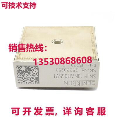 原装供应装赛米控 SKIIP13NAB065V1 模块