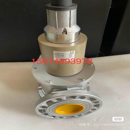 [德峰]SG40R02LT31D电磁阀施能SG50R02LT3。慢开