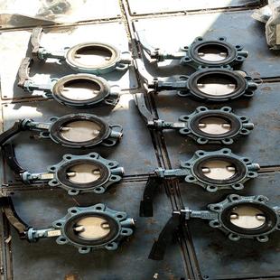 德国EBRO依博罗蝶阀Z014 DN100