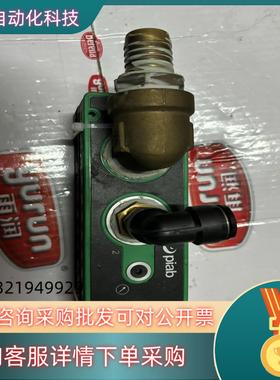 现货piCLASSIC Pi x 3.9904688派亚博P