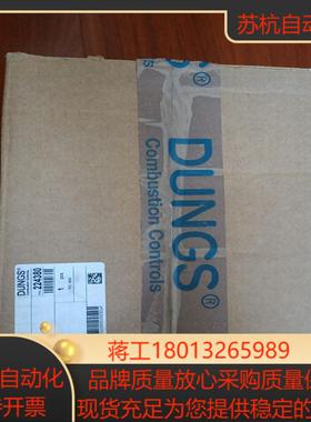 DUNGS冬斯电磁阀DMV-D51211  DMV-D