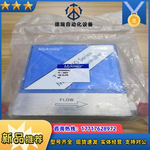 Mykrolis计AE05493004 C-262V M议价