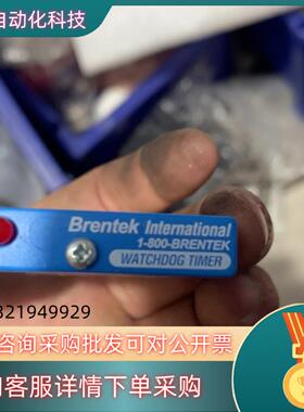 现货Brentek型号GX2-WDT24-2a定时器