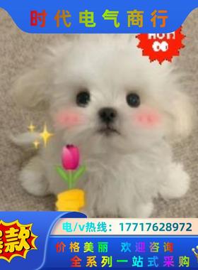 CYK10-A031   数字电极电缆    E+H电极电缆议价