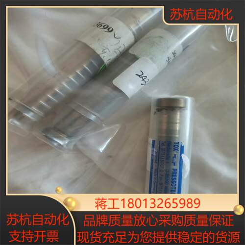 德国托克斯D-88250凸模BlP-AXOⅩTOX PRE