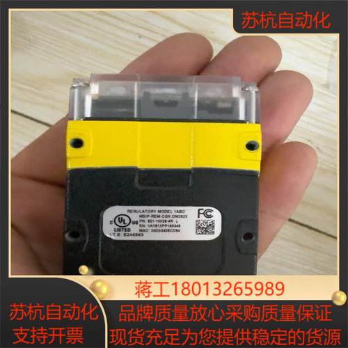 康耐视DM262S 821-10029-4R 康耐视读数头一