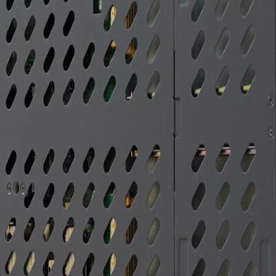 CR2DLPUF5010 灵活插卡线路处理板(NE20E L