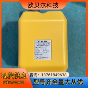 意大利 TECNO ELETTRICA RAVASI 扭缆开