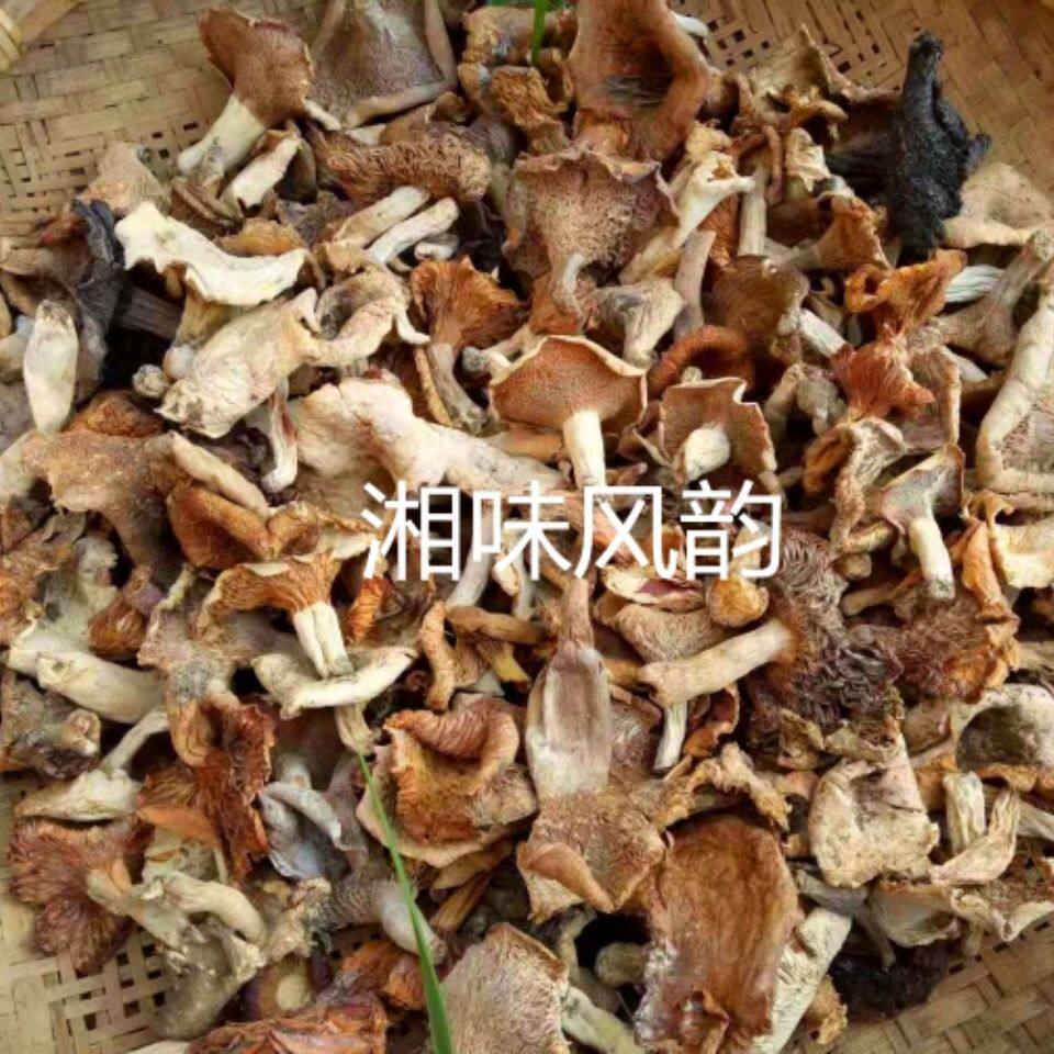 2023年新货湖南邵阳邵东农家菇子蘑菇干货干菌子杂菌
