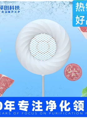 果蔬净化器食材小型清洗机家用杀菌除农残自动洗菜机
