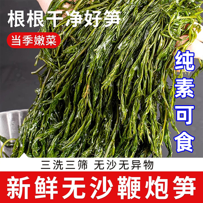 纯素食鞭炮笋鲜嫩爽脆无沙新鲜海藻火锅健康凉拌菜海草在菌屋