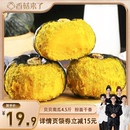 香菇来了 正宗贝贝南瓜小南瓜板栗味新鲜粉糯香甜现摘发货