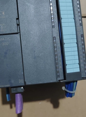 PLC模块 6ES7 313-6CF03-0AB0 ~议价