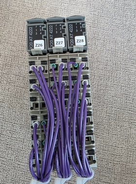X20 AT 4222端子排，带紫色线缆，，奥地利， ~议价