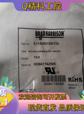 现货连接线E11A06006015M100 0008417425