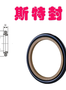 斯特封轴用格莱圈GSR/RS/STd250*271*265.5/260*284.5*8.1*6.3