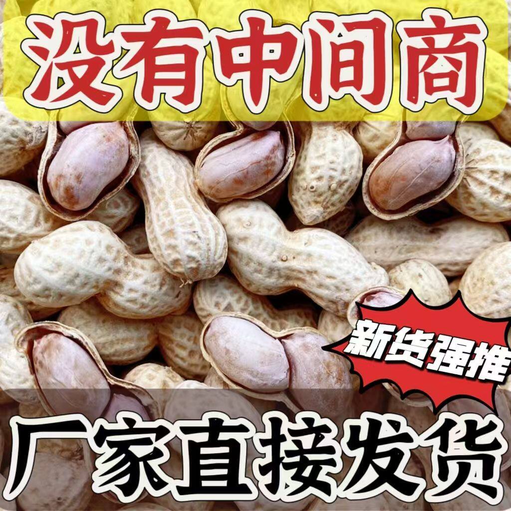 龙岩花生蒜香味五香水煮花生米带壳白晒干炒货好吃的零食散装批发