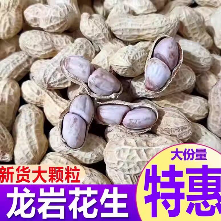 新货花生白晒咸干水煮花生米蒜香带壳炒货下酒菜追剧坚果炒货零食
