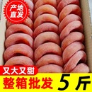 独立包装 柿饼5斤特级流心吊柿子饼非陕西富平吊柿饼农家霜降圆饼