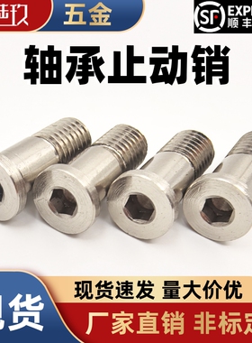 轴承止动销BGP BGPM10 12-15 16 17 18-L20 L25 L30 L40 L50 L60