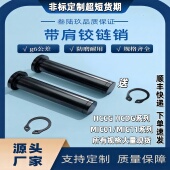 HCCG3 卡簧销 MIC01 MIC11 HCDG 带肩铰链销轴