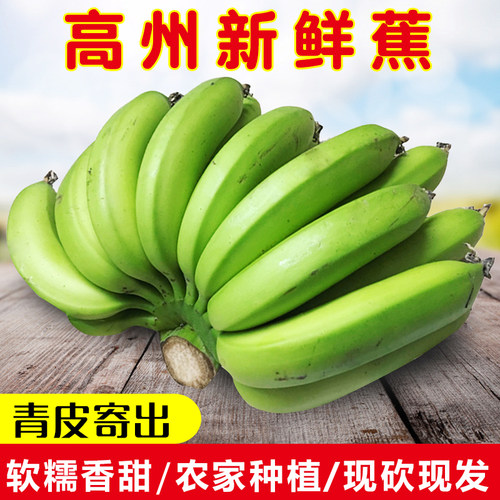 【高州香蕉】正宗酸甜可口薄皮遁地雷蕉绿皮香蕉当季新鲜水果