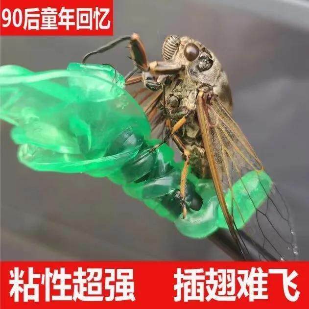 知了捕捉器抓知了猴神器小手捕蝉