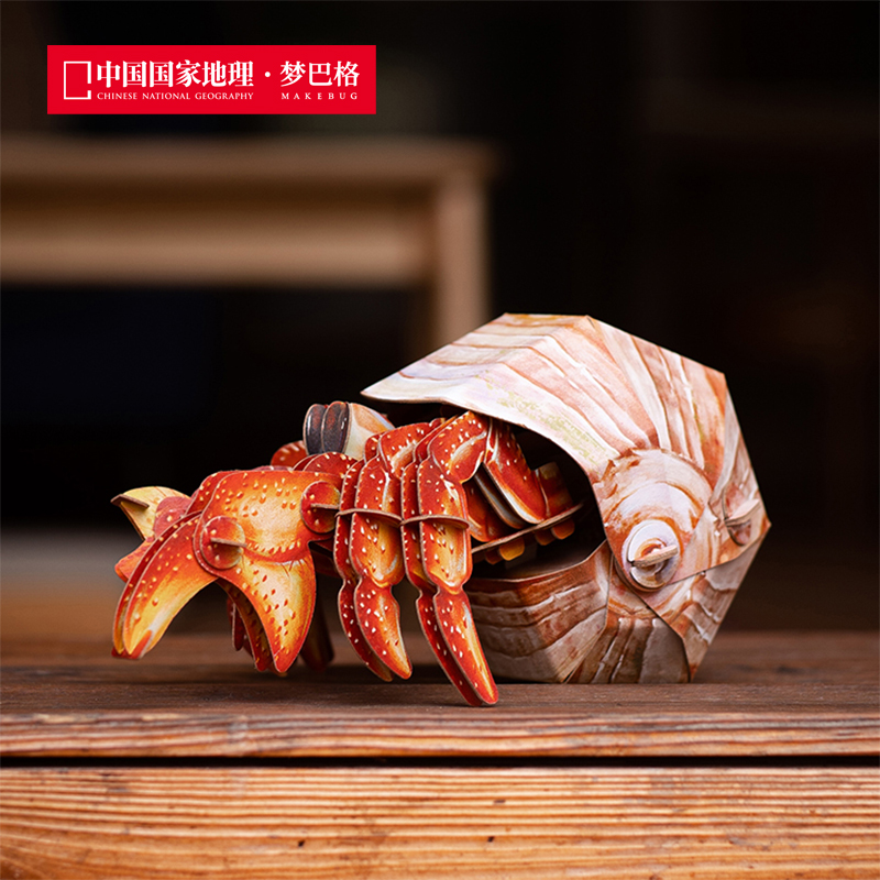 梦巴格拼插纸模橙红陆寄居蟹仿真