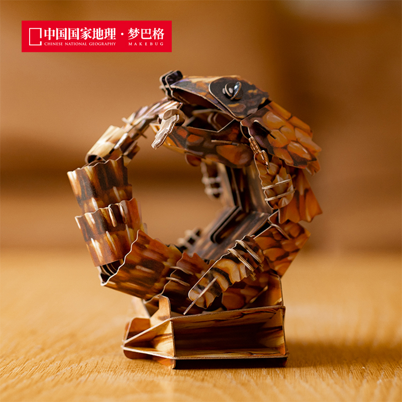 夢巴格南非犰狳蜥立體拼插仿真