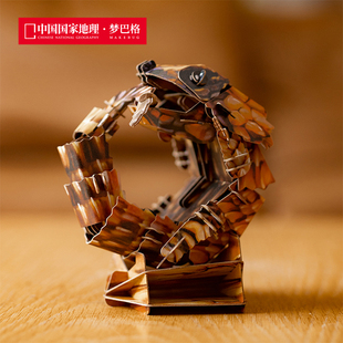 中国国家地理梦巴格 沙漠系列拼插纸模南非犰狳蜥100%牛皮纸浆