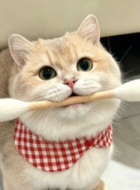 巨型棉签猫玩具逗猫棒宠物猫咪脱脂棉玩具耐啃咬超大棉签自嗨解闷