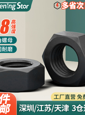 8.8/12.9级六角螺母螺帽螺丝帽M2.5M3M4M5M6M8M10M12M14M16M20M30