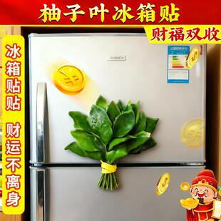 柚子叶冰箱贴去晦气磁贴转运个性创意磁吸装饰可爱趣味高级亚克力