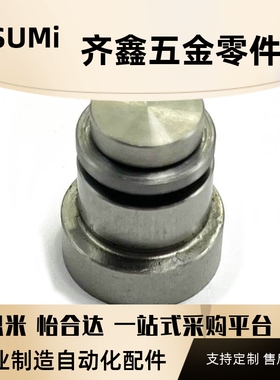 直线导轨定位销偏心销 LLT5 LLTS5 ICE11-T5不锈钢ICE12/11