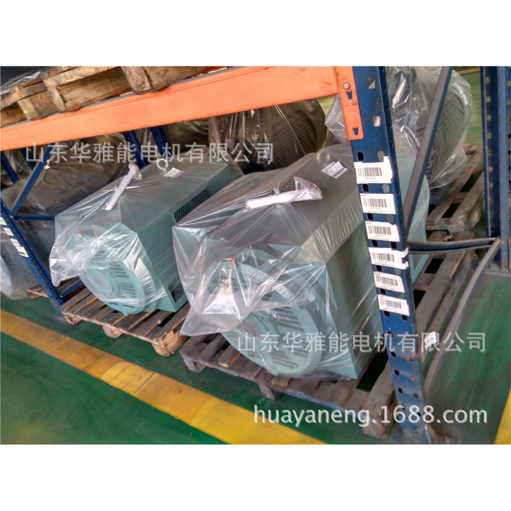 Y, YRKK, YKK 系列10kV (H355~630)中型高压三相异步电动机