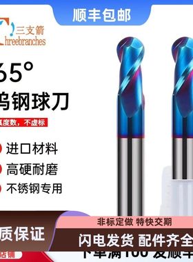 65度钨钢球刀立铣刀2刃加长高硬度涂层圆弧球形圆头R1 R2 R3 R4