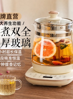 德国养生壶家用多功能小型办公室一人花茶壶2024新款恒温煮水壶