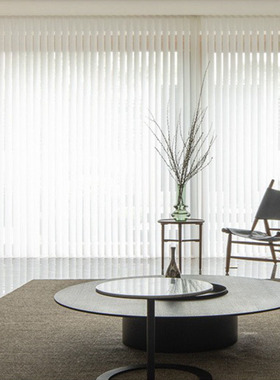 乐巢梦幻帘纱帘竖百叶窗帘透光不透人D2022年新款窗纱阳台飘窗白