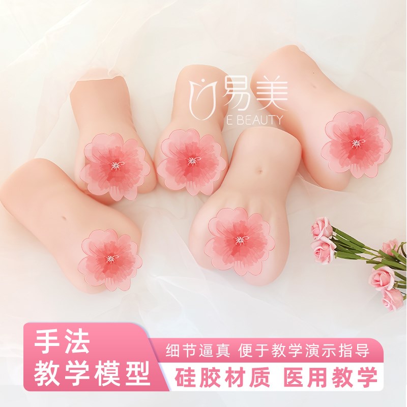 产康店手法教学模型月嫂培训x内雕练习硅胶女性医学解剖模具美容