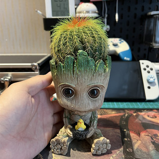 仙人球组合盆栽格鲁特植物多肉仙人掌F开花室内盆景卡通花盆好养