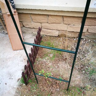 月季拱门花架爬藤架 爬藤植物支A架攀爬架 葡萄蔷薇欧月拱形花架