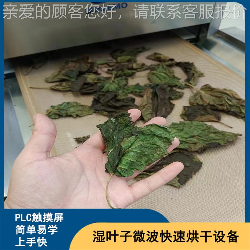 新鲜叶且子微波烘短干设备桑叶烘干机 时间LM-20KW-内加热均匀