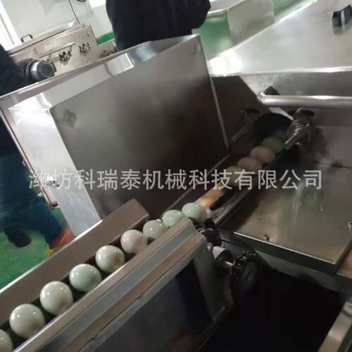 源头供应小型洗蛋机 鸡蛋去泥去粪清洗机 厂家 销售鸭蛋清洗线