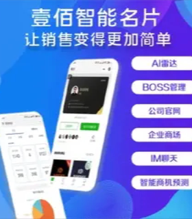智能名片AI数字人搭建无人直播源码小程序AI搜索优化排名壹佰系统